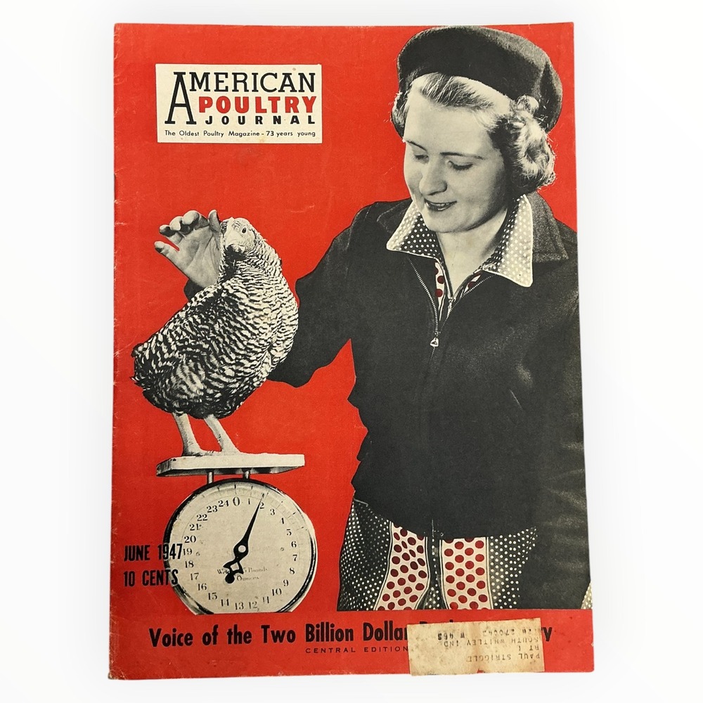 American Poultry Journal June 1947 Vintage Farm Magazine Chicken Hatchery Ads